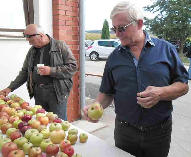 franjo makovec nacelnik opcine