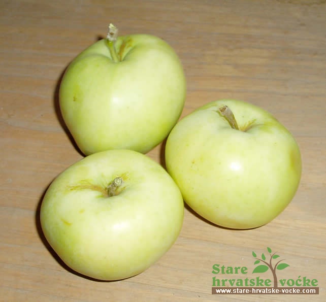 Beličica - stare sorte jabuka