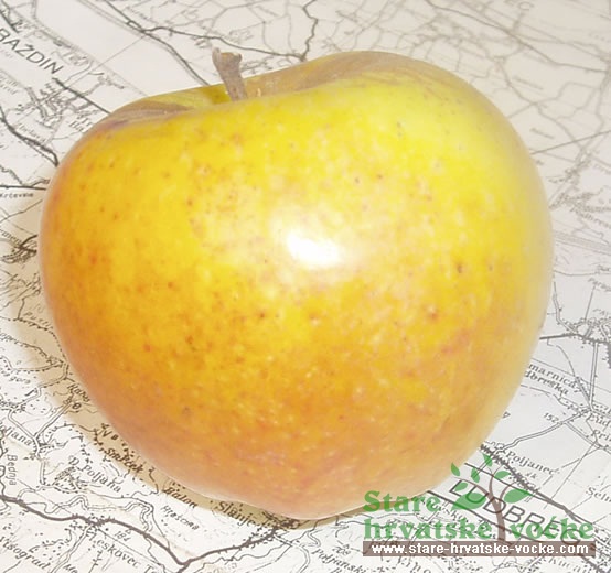 Hrustavka - stare sorte jabuka